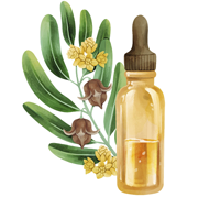 01. Pure Essential Oil